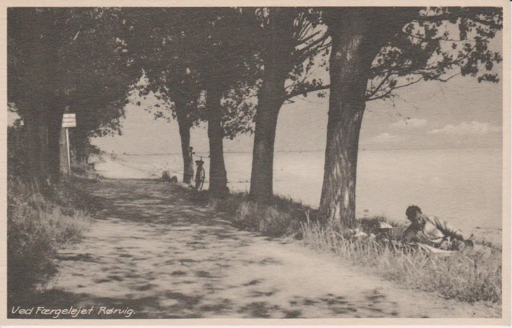 Ved Færgelejet Rørvig.